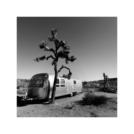 Joshua Tree Desert Air Stream - Square Print Series